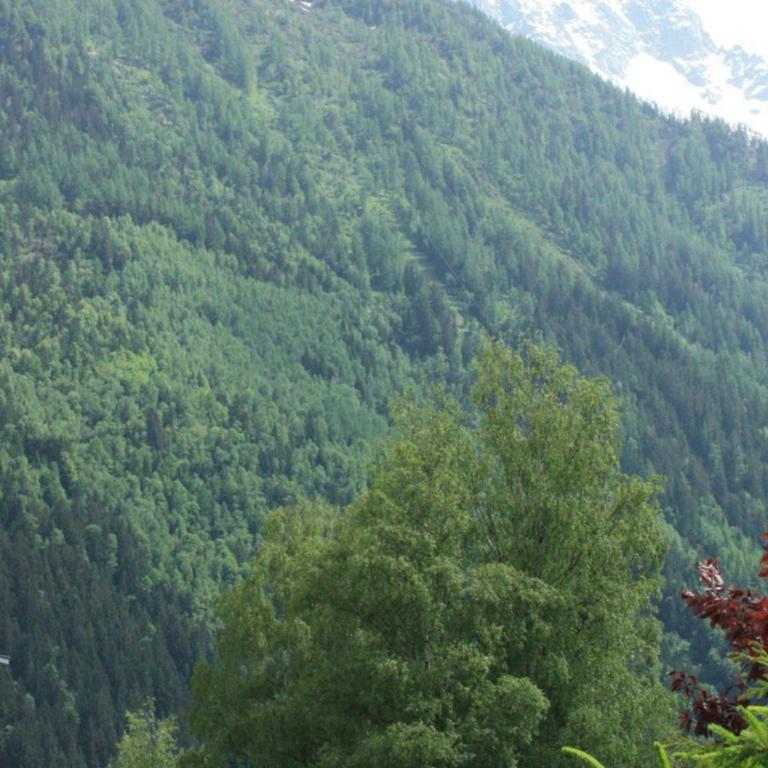 Studio cosy à Chamonix - Animaux admis, parking privé - FR-1-517-21 - Studio - 6