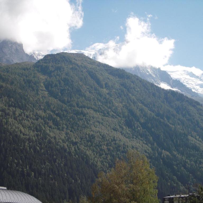 2 Pièces à Chamonix, Vue Mont-Blanc, Animaux admis, Parking - FR-1-517-26 - Appartement (4 Adultes) - 5