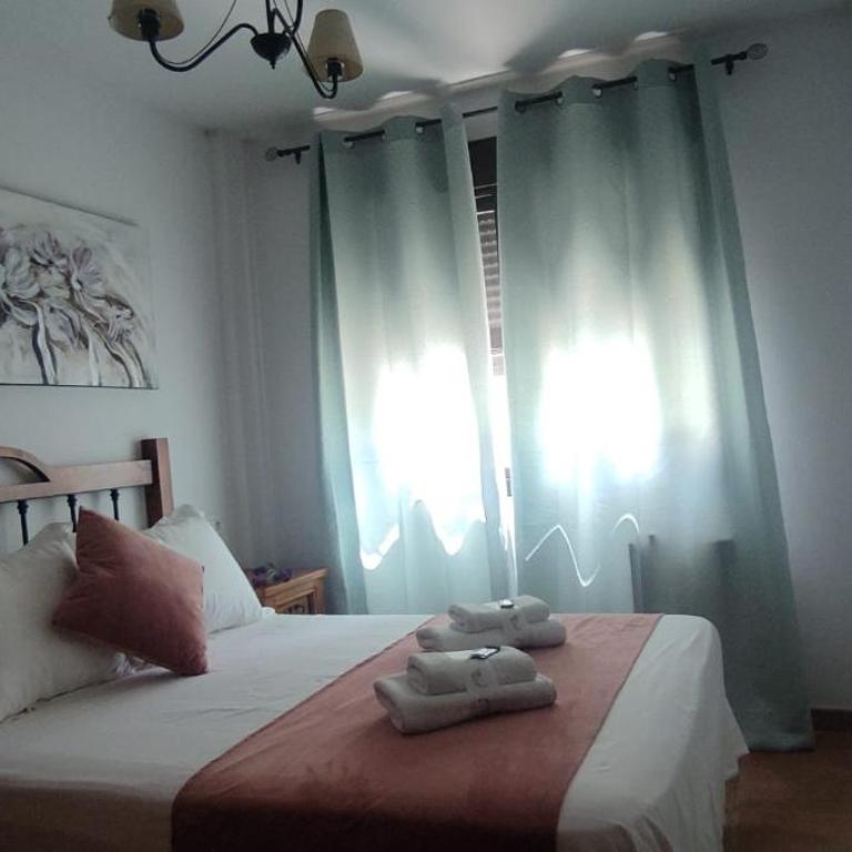 Alojamientos Puerta del Parque - Apartamento - Planta baja - 8