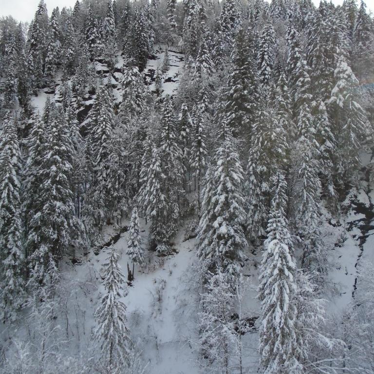 La Bartavelle - Apartment mit Blick auf die Berge - 26