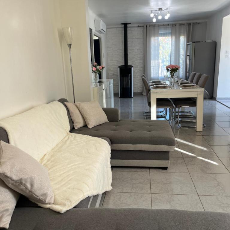 Villa climatisé avec piscine - Maison 3 Chambres - 46