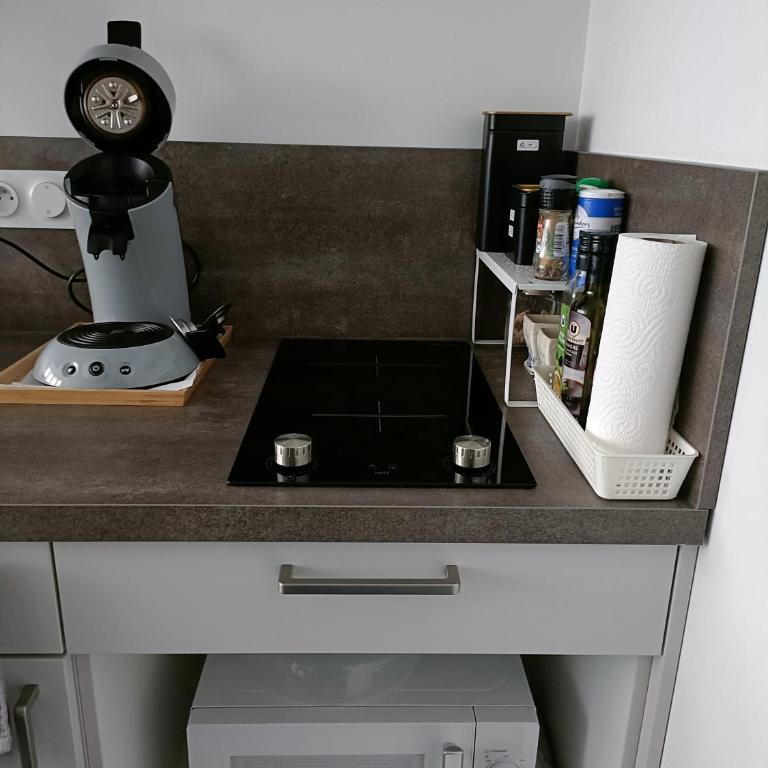 L'imprimerie, charmant pied à terre indépendant - Appartamento con 1 Camera da Letto - 4