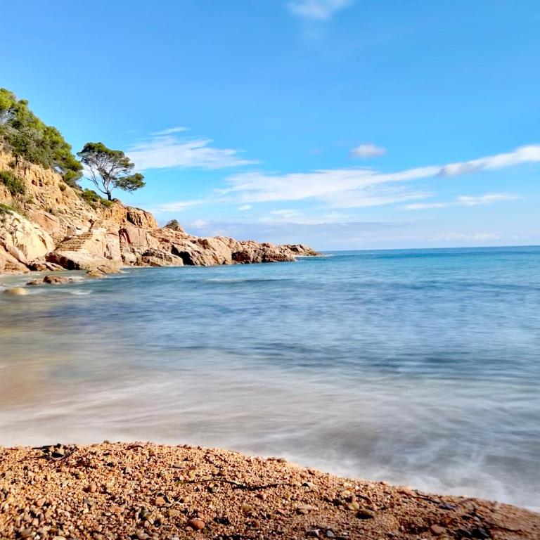 ⭑ Sea views + private beach. What else? ⭑ - Apartamento de 2 dormitorios - 1
