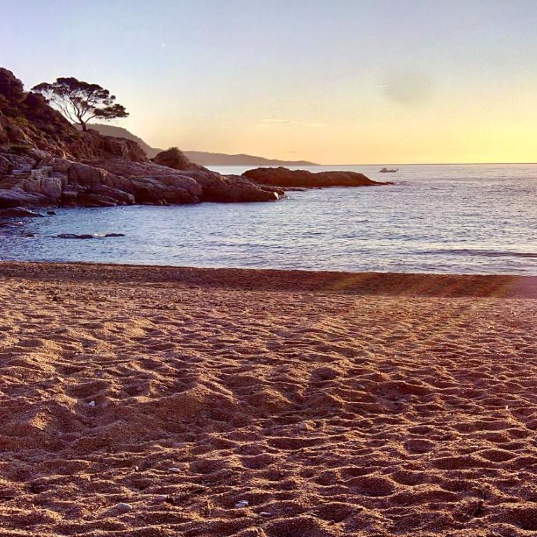 ⭑ Sea views + private beach. What else? ⭑ - Apartamento de 2 dormitorios - 26
