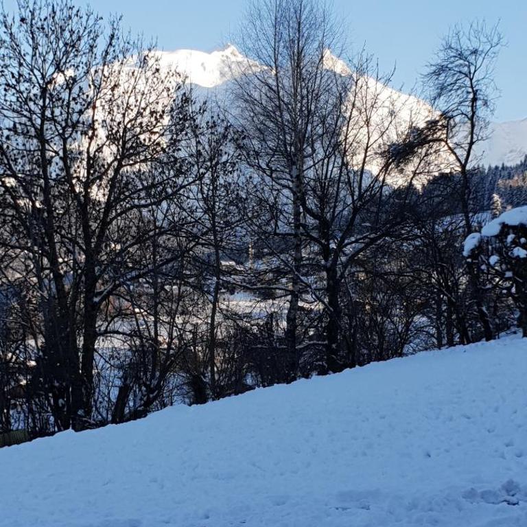 Appart en rez de jardin clos face au Mont BLANC - Appartement 2 Chambres - 17