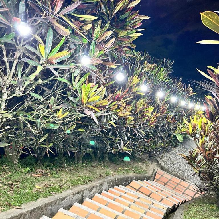 Apartamento campestre para pareja en Manizales - Apartamento de 1 dormitorio - 23
