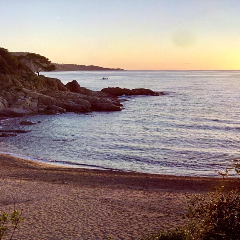 ⭑ Sea views + private beach. What else? ⭑ - Apartamento de 2 dormitorios - 3