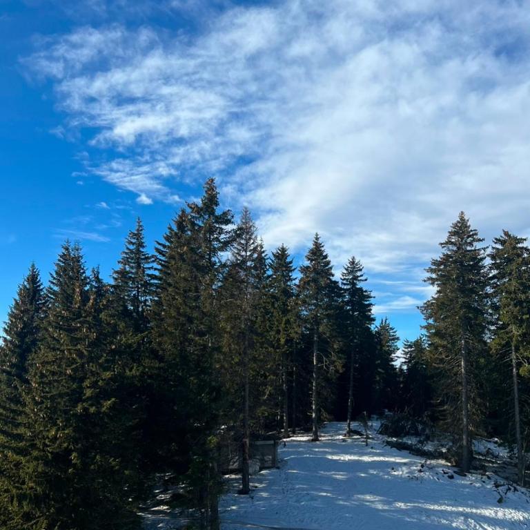 Mountain stars Kopaonik - One-Bedroom Apartment - 24