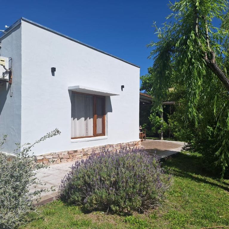 Los Niyus - Bungalow (4 adultos) - 9
