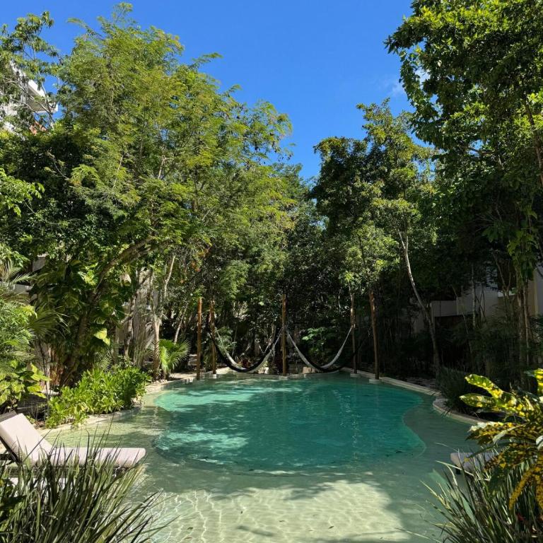 3 BR Jungle Apartment - Private Pool - La Veleta - Apartamento de 3 dormitorios con piscina privada - 3