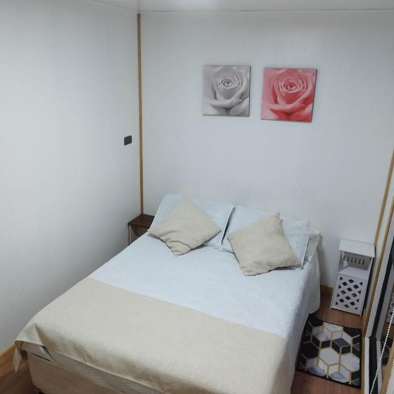 Container Millaneco - Two-Bedroom House - 10