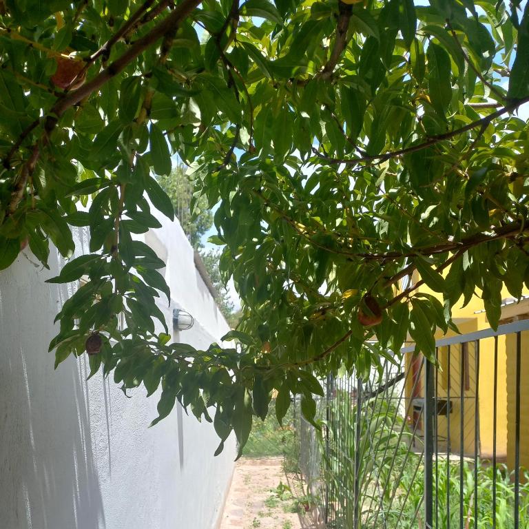 Luminares - Apartamento - 27