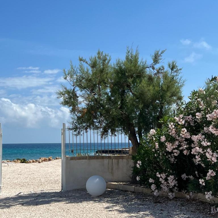 Masseria Ostuni Mare Agri Resort - Camera Matrimoniale Deluxe con Balcone e Vista Mare - 25