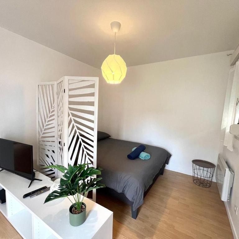 Charming T1 - Parking - Metro St Agne - Appartamento con 1 Camera da Letto - 14