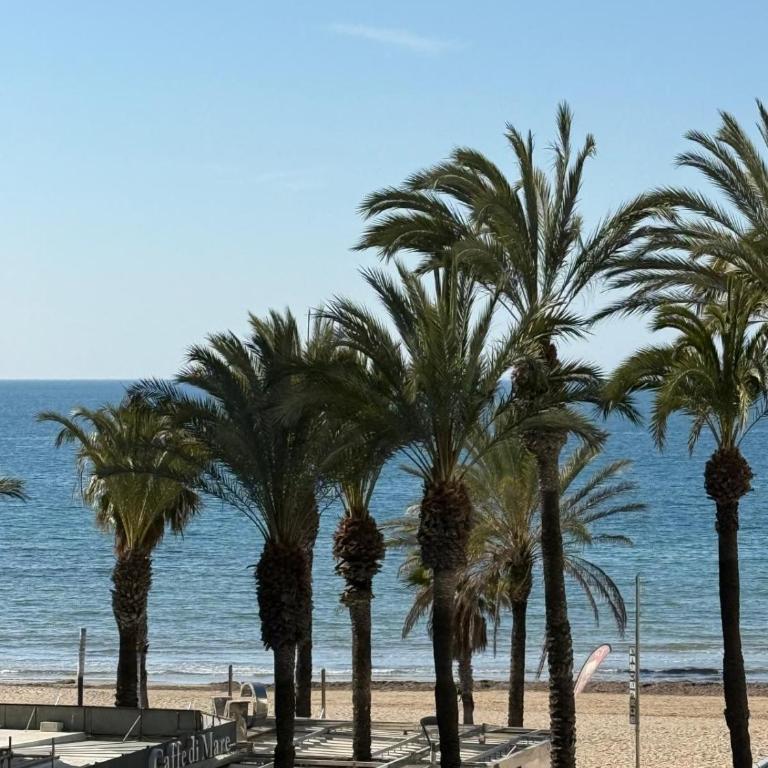 Apartamentos Santa Rosa Palmyra - Apartamento de 2 dormitorios - 6