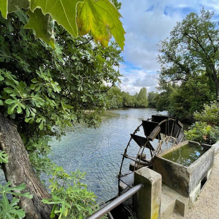 Casa Regina - Spacieux appartement près de la Sorgue - Apartment mit 1 Schlafzimmer und Terrasse - 12