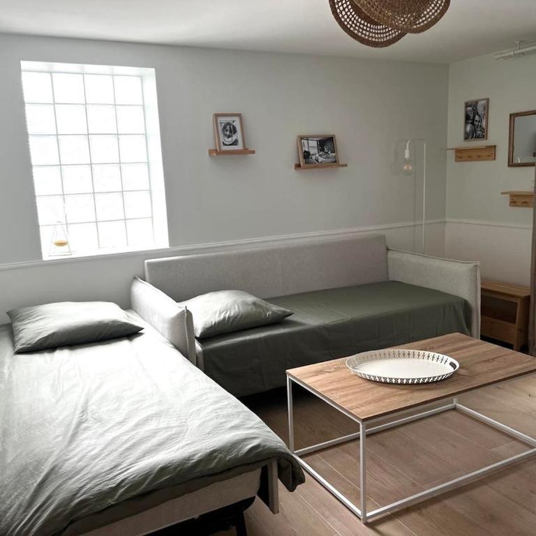 Casa Regina - Spacieux appartement près de la Sorgue - Apartment mit 1 Schlafzimmer und Terrasse - 17