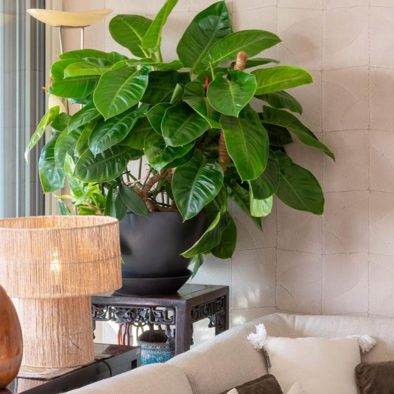 Luxury 2-Br Apartment with Sea View Cannes - Appartement - 7