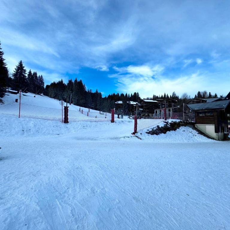 Les Esserts au pied des pistes idéal 4 personnes - Appartement 1 Chambre avec Balcon et Vue sur les Montagnes - 32
