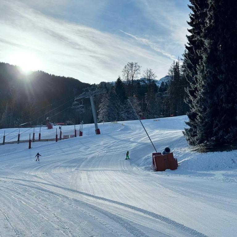 Les Esserts au pied des pistes idéal 4 personnes - Appartement 1 Chambre avec Balcon et Vue sur les Montagnes - 9