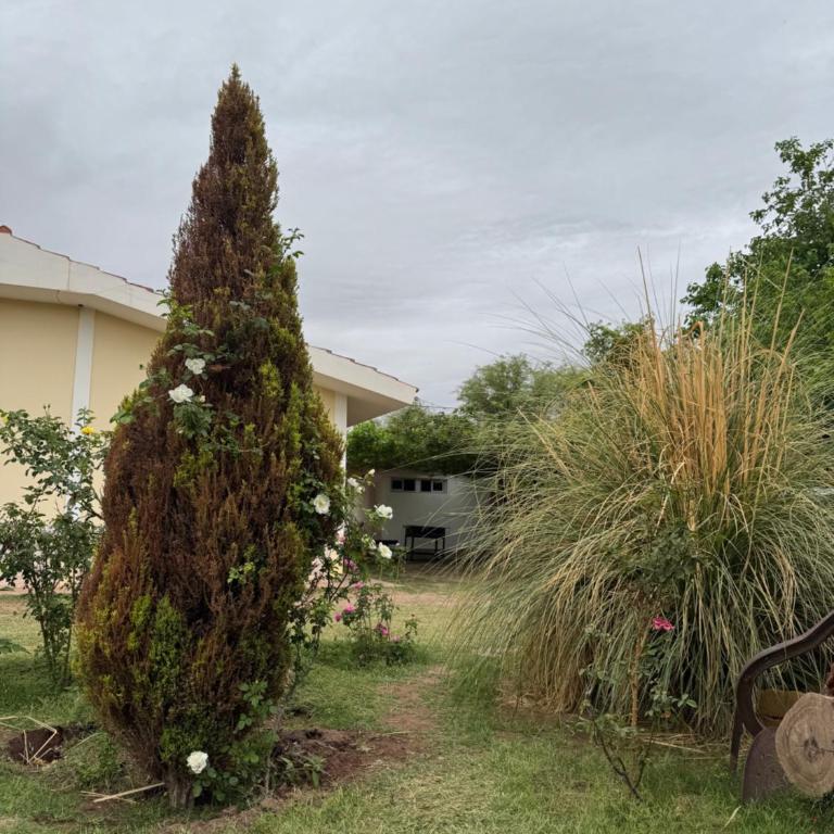 La casita de la viña - Apartamento de 1 dormitorio - 25