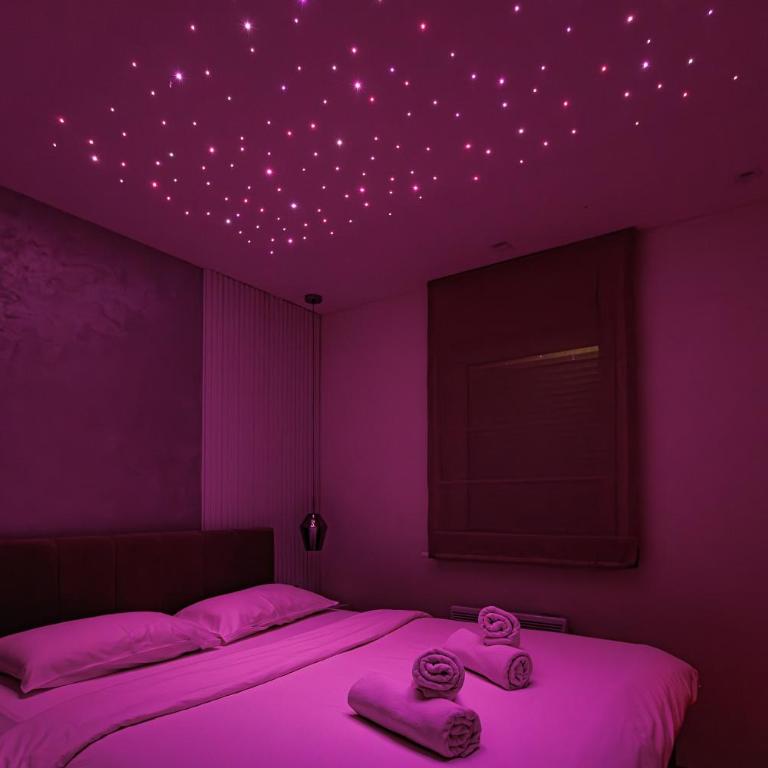 White Apartments - Apartman sa 2 Spavaće Sobe - 6