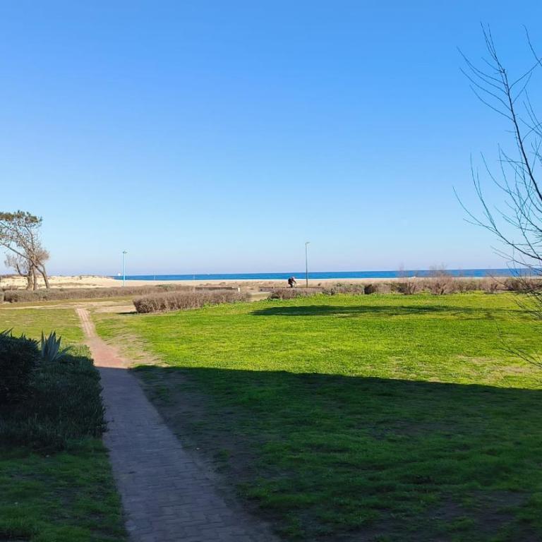 Magnifique vue mer Appart les pied dans l eau St Cyprien - Apartamento - 12
