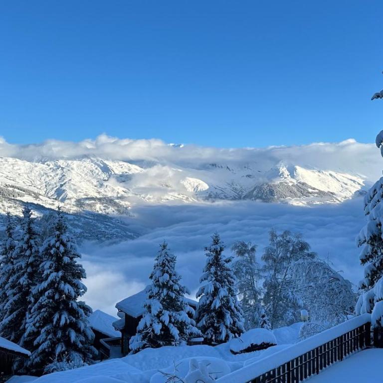 Les Verdons - Chalet Bellevue Domaine La Plagne - Appartement 1 Chambre - 13