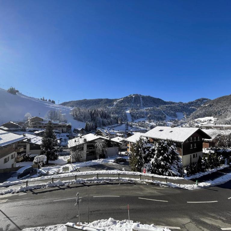 Alcyon A23 - Studio proche pistes - Monolocale con Vista Montagna - 3