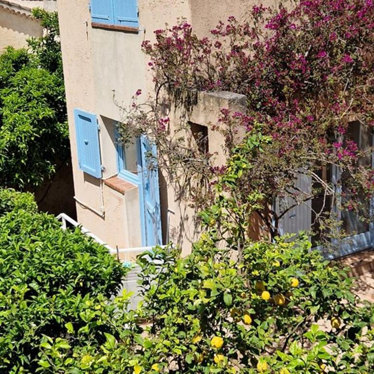 Appartement Hyères : 2 pièces, jardin privé, proche plage et port, WIFI, parking - FR-1-335-161 - Apartment - 14