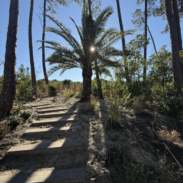 Villa d'exception à Lacanau océan - Villa - 63