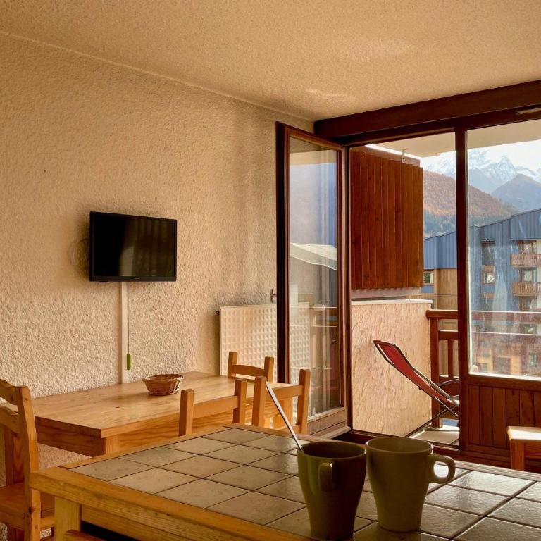 Studio lumineux au pied des pistes, animaux admis - FR-1-811-35 - Monolocale - 3