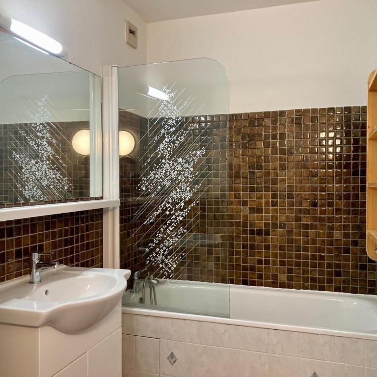 Studio lumineux au pied des pistes, animaux admis - FR-1-811-35 - Monolocale - 9