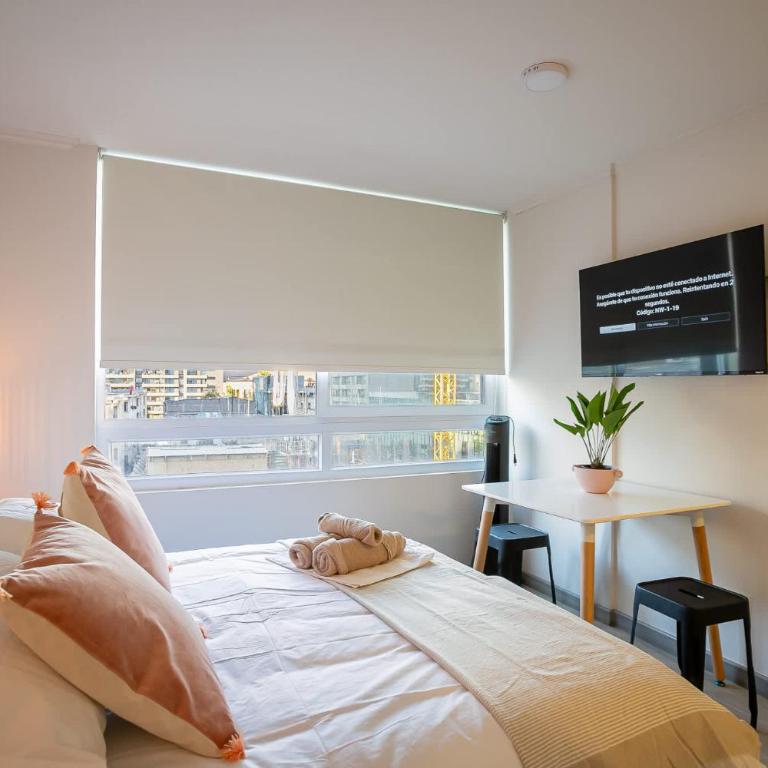 Authentic Santiago Studio Apt near Plaza de Armas - Apartamento - 16