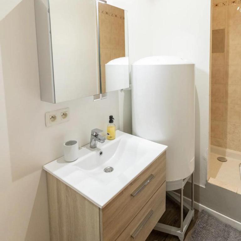 La STÉPHANOISE - Appartement 4 Chambres - 16