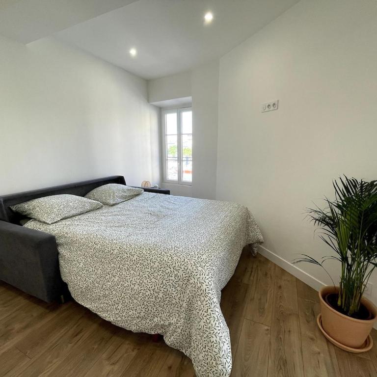 Joli Studio Place Garibaldi, Vieux-Nice, Port - Appartement 1 Chambre - 11