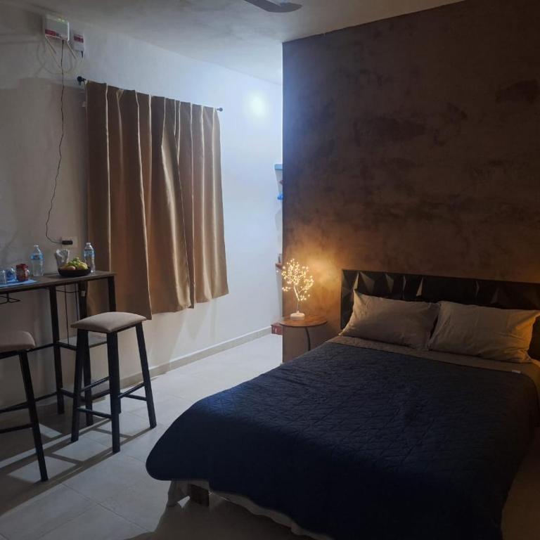 departamentos san juan 2 - Apartamento de 1 dormitorio - 12