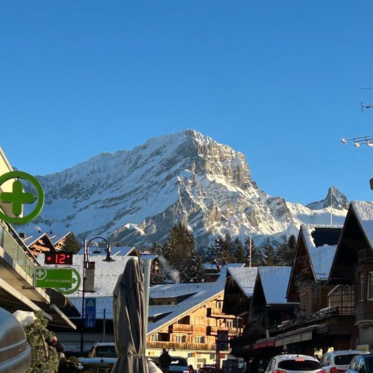 Central studio in Villars sur Ollon, Emeraude, for 3 only 100m to Bretaye ski train - Apartment mit 1 Schlafzimmer - 31