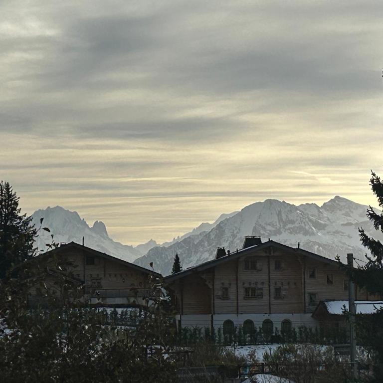 Central studio in Villars sur Ollon, Emeraude, for 3 only 100m to Bretaye ski train - Apartment mit 1 Schlafzimmer - 30