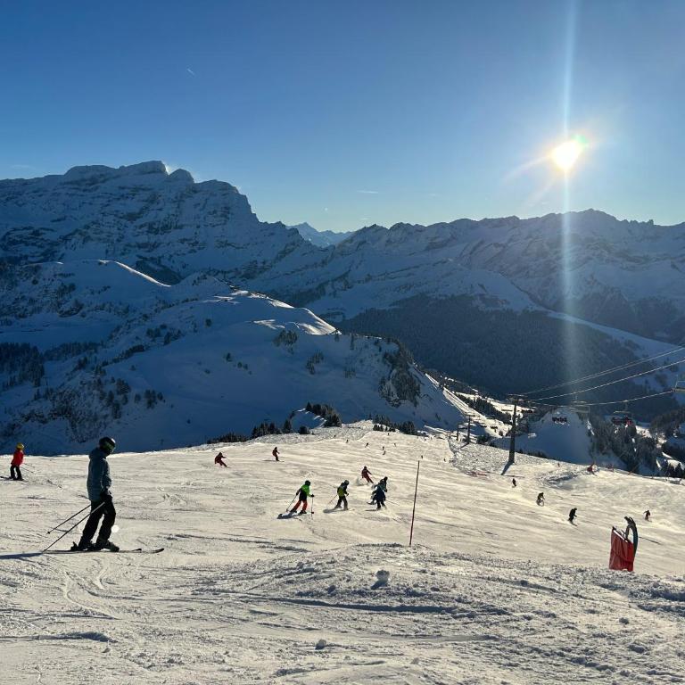 Central studio in Villars sur Ollon, Emeraude, for 3 only 100m to Bretaye ski train - Apartment mit 1 Schlafzimmer - 29