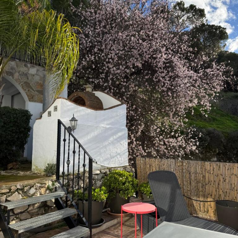 La casa de Pascal - Four-Bedroom House - 30