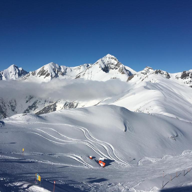 Chalet am Berg Turracher Höhe Natur & Ski - Haus mit 2 Schlafzimmern - 21