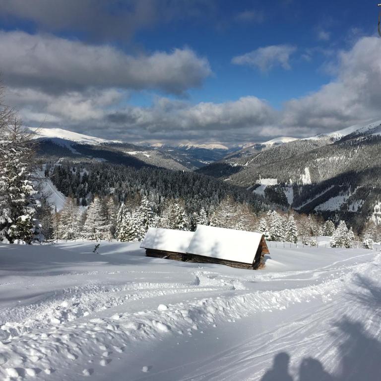 Chalet am Berg Turracher Höhe Natur & Ski - Haus mit 2 Schlafzimmern - 22