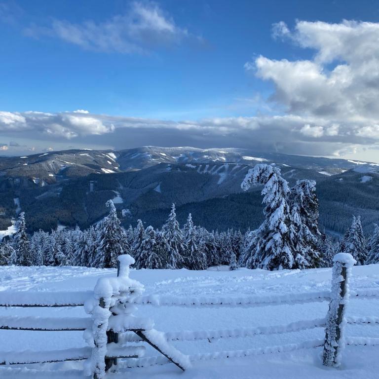 Chalet am Berg Turracher Höhe Natur & Ski - Haus mit 2 Schlafzimmern - 23