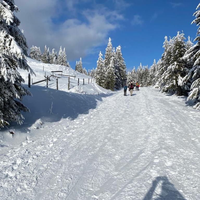 Chalet am Berg Turracher Höhe Natur & Ski - Haus mit 2 Schlafzimmern - 25