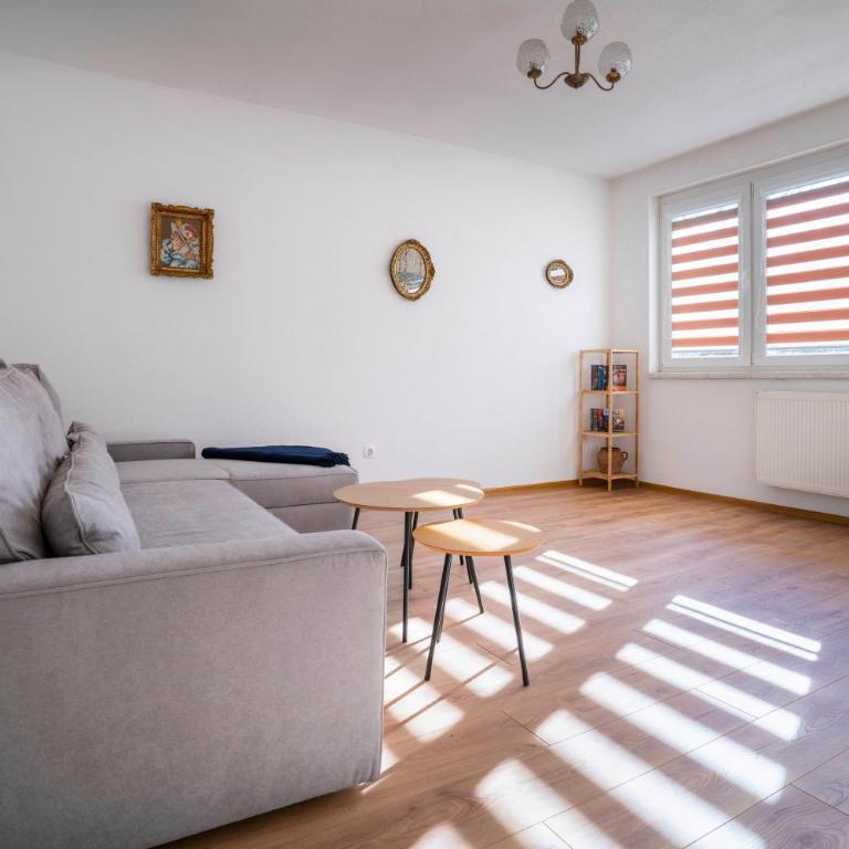 Sarajevo-Hrasno brdo - Apartman sa 1 Spavaćom Sobom - 9