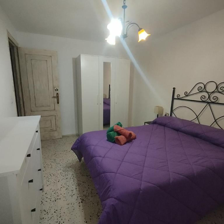 Casa Violeta - Apartamento de 3 dormitorios - 4