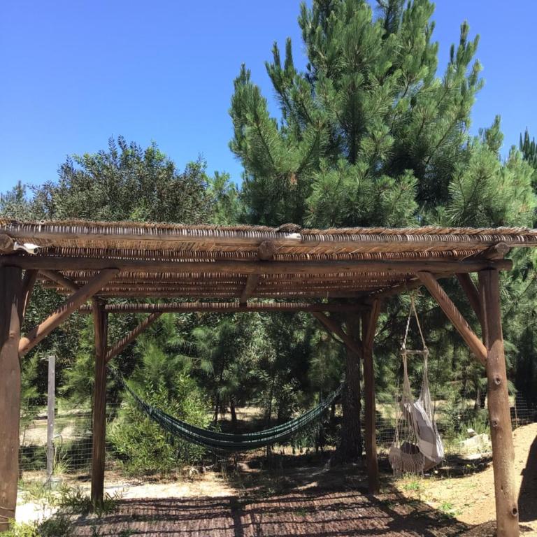 Reyna - Casa de 2 dormitorios - 2