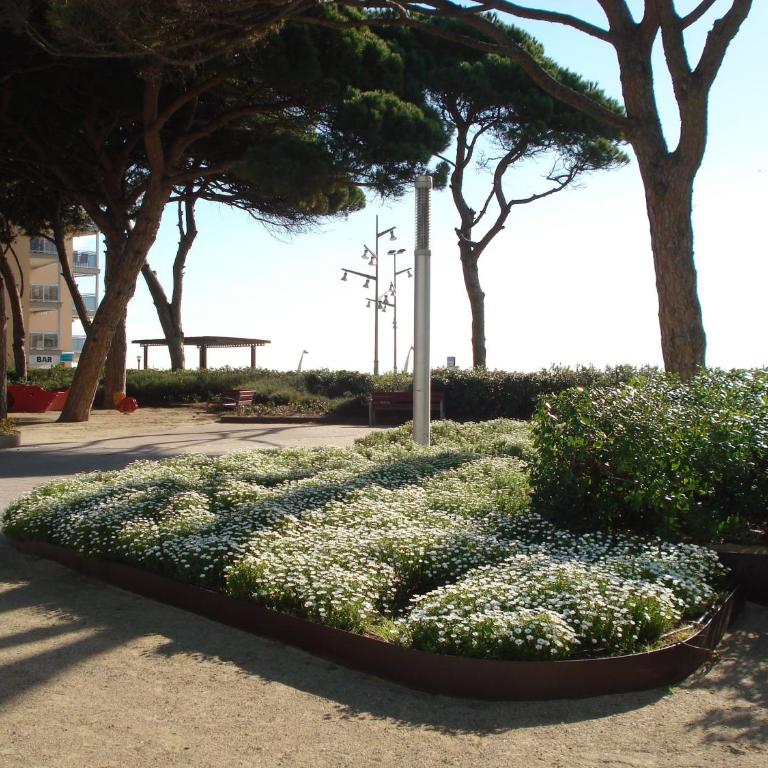 Pineda Beach PORT AVENTURA - Apartment with Sea View - 22