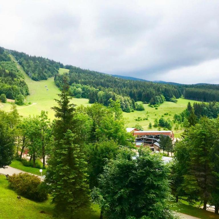Résidence Les Arolles - Jolie deux pièces pied des pistes MAE-3564 - Apartamento - 11